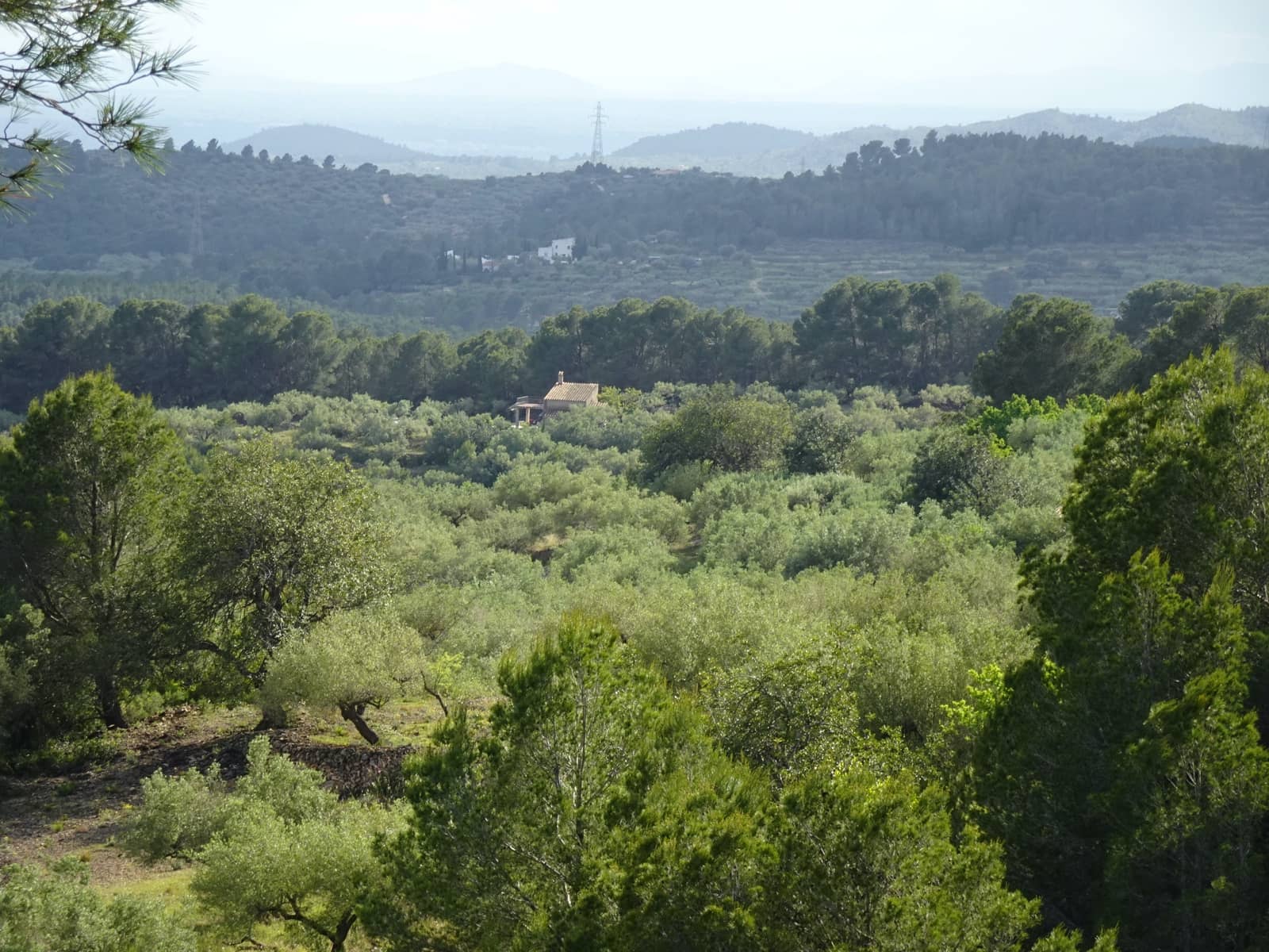 2 bedroom Finca/Country House for sale in El Perello - € 139,000 (Ref: 9848115)