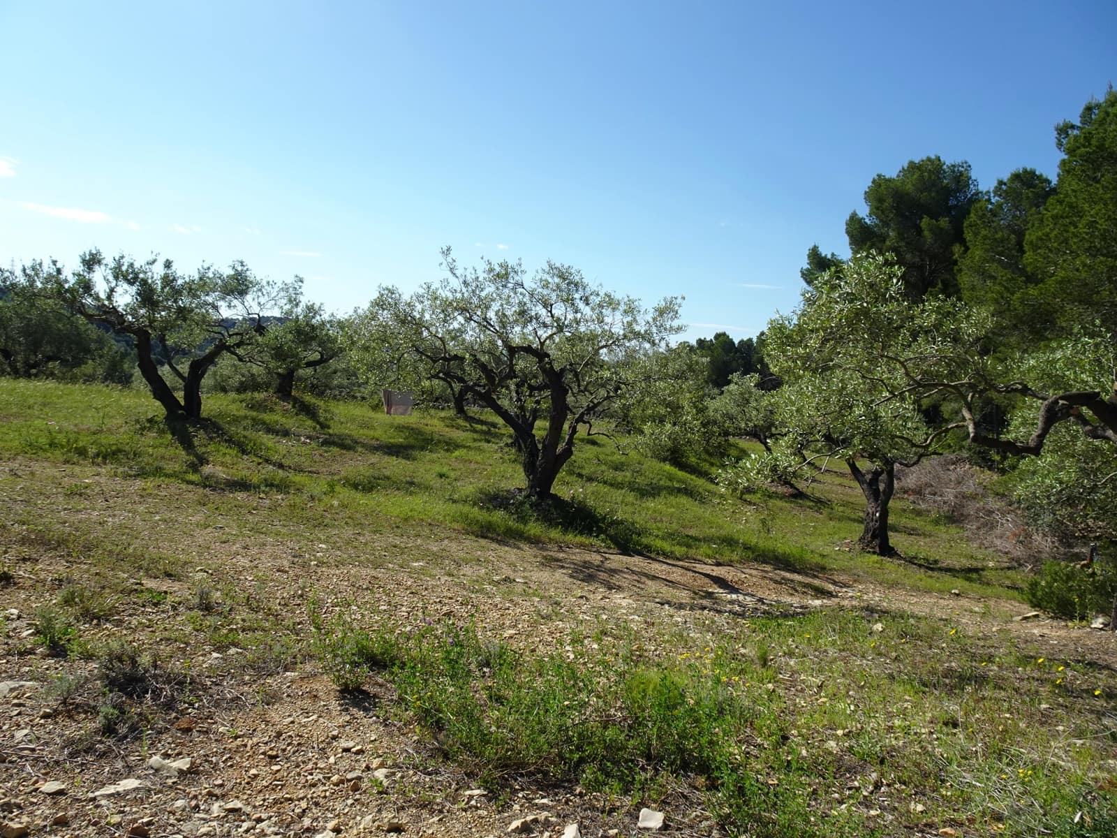 2 bedroom Finca/Country House for sale in El Perello - € 139,000 (Ref: 9848115)