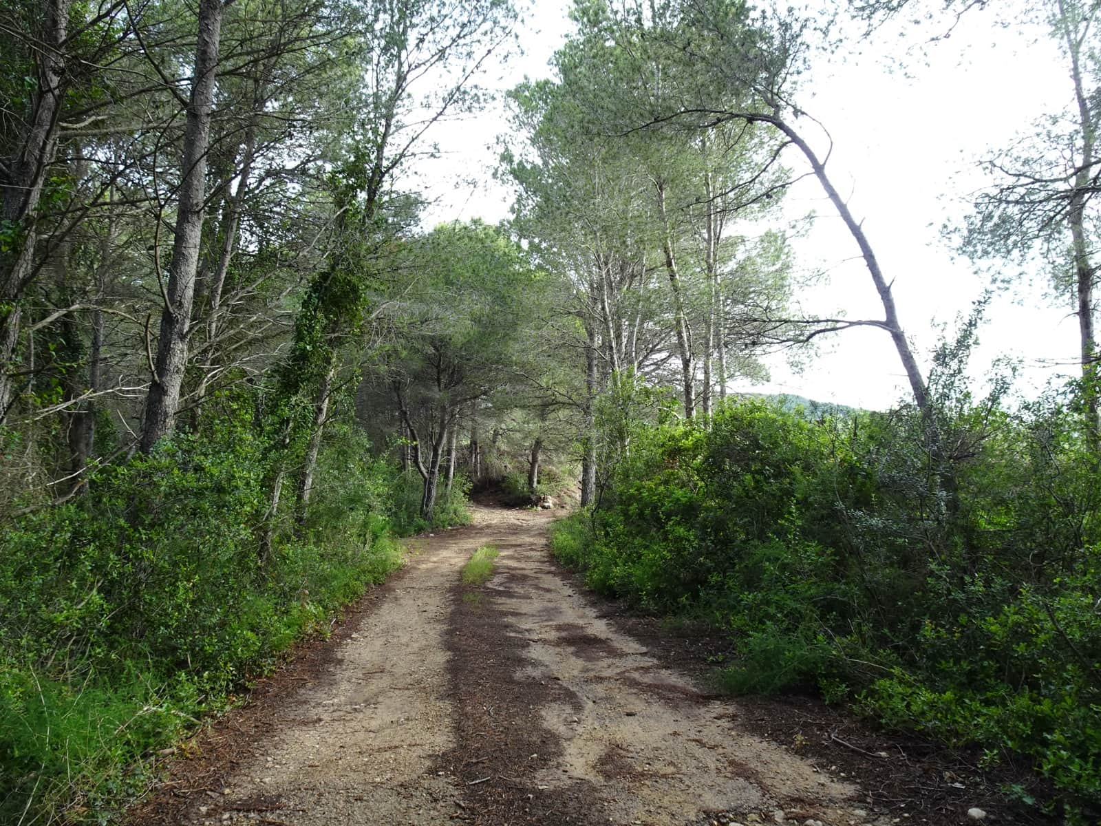 2 bedroom Finca/Country House for sale in El Perello - € 139,000 (Ref: 9848115)