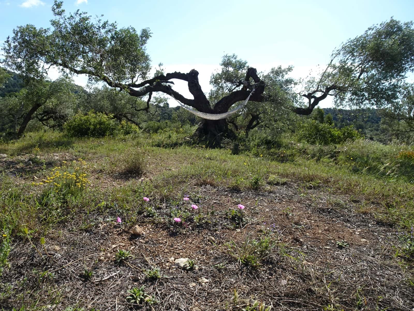 2 bedroom Finca/Country House for sale in El Perello - € 139,000 (Ref: 9848115)
