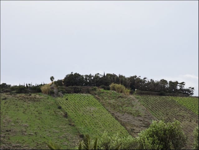 Finca/Casa Rural de 2 habitaciones en Manilva Pueblo, Manilva en venta con piscina - 699.000 € (Ref: 10000582)