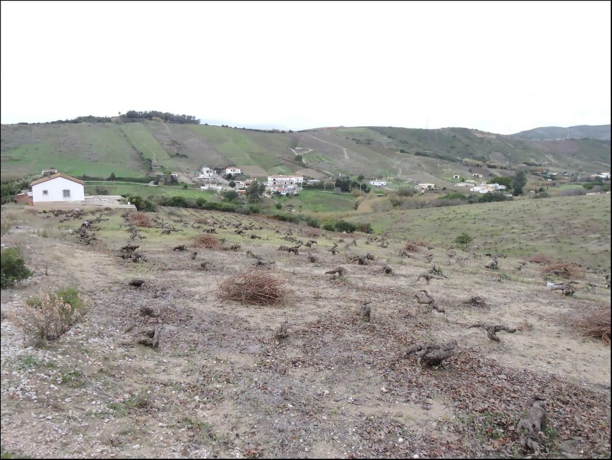 Finca/Casa Rural de 2 habitaciones en Manilva en venta con piscina - 699.000 € (Ref: 10000582)