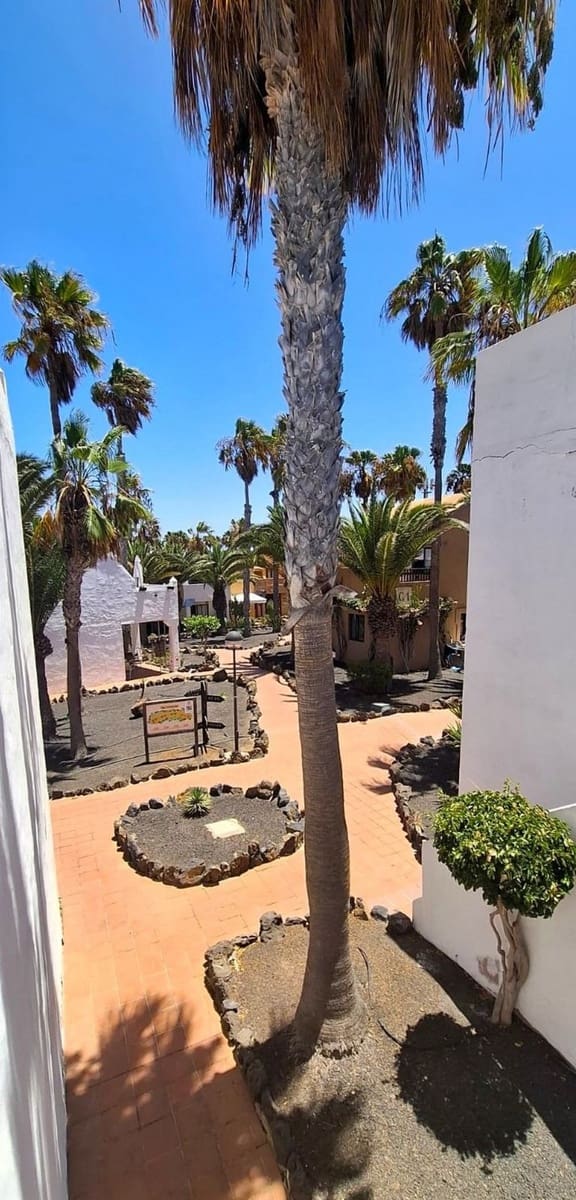 1 slaapkamer Appartement te koop in Corralejo met zwembad - € 209.000 (Ref: 10005287)