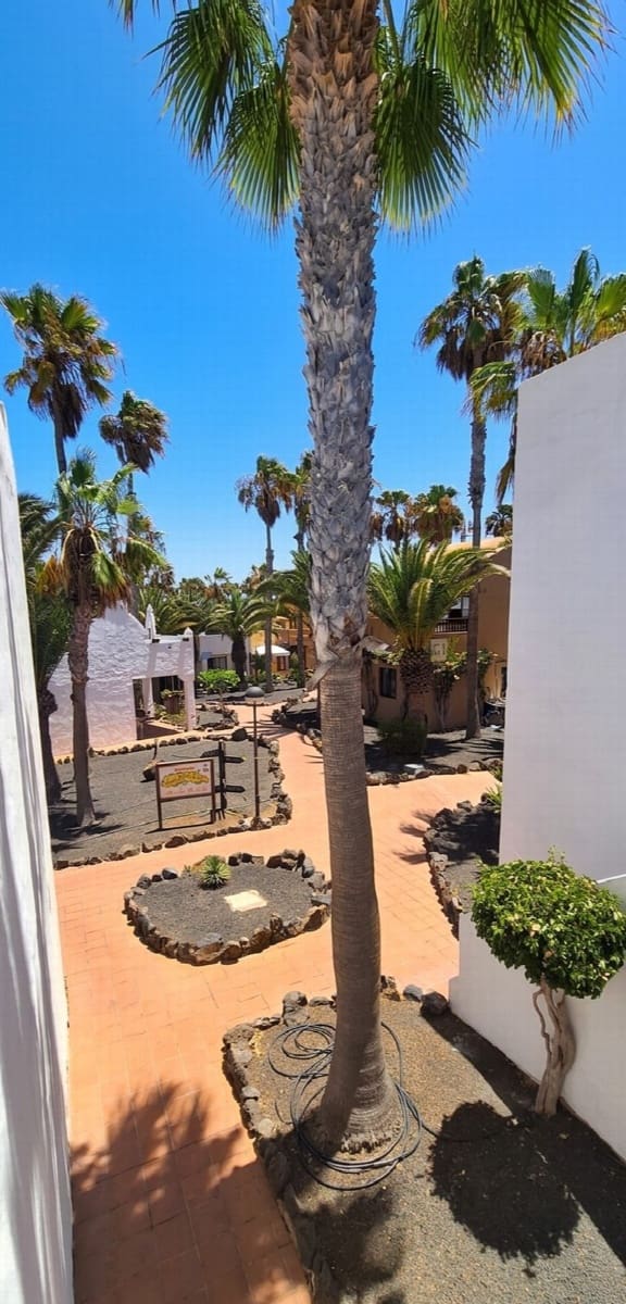1 bedroom Apartment for sale in La Oliva with pool - € 199,995 (Ref: 10005287)