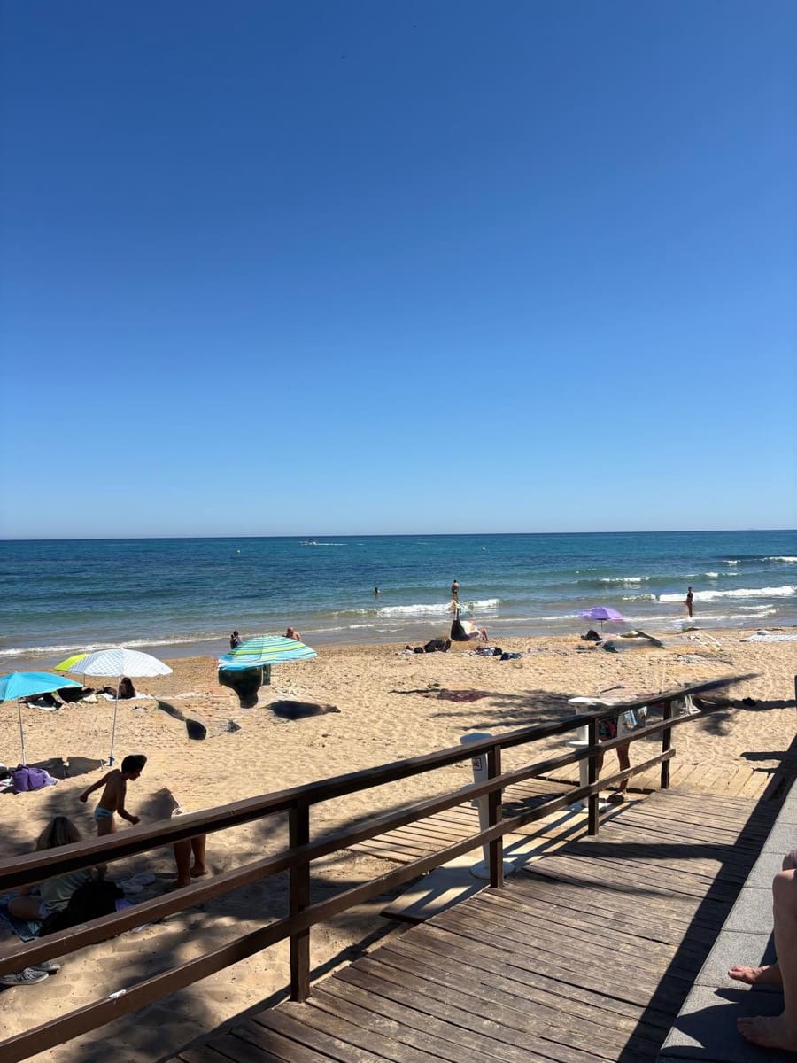 2 soveværelse Lejlighed til salg i Torrevieja - € 159.000 (Ref: 10008819)