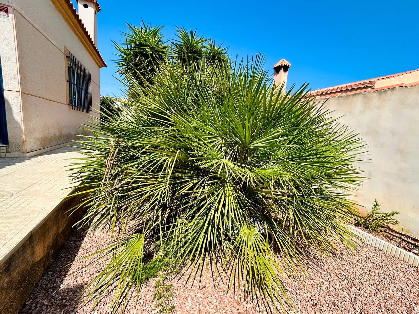 3 sypialnia Willa na sprzedaż w Torrevieja - 360 000 € (Ref: 10022174)