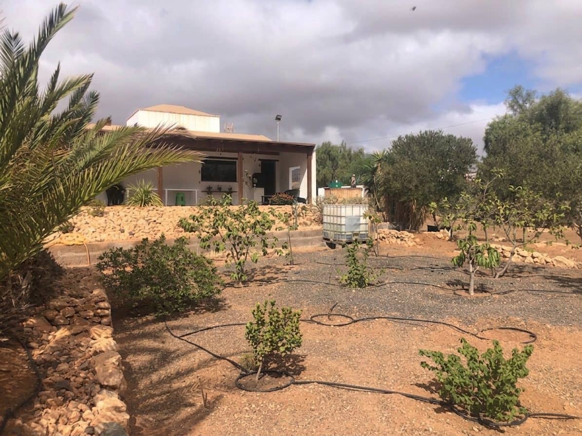3 sovrum Villa till salu i Tuineje med pool - 450 000 € (Ref: 10046494)