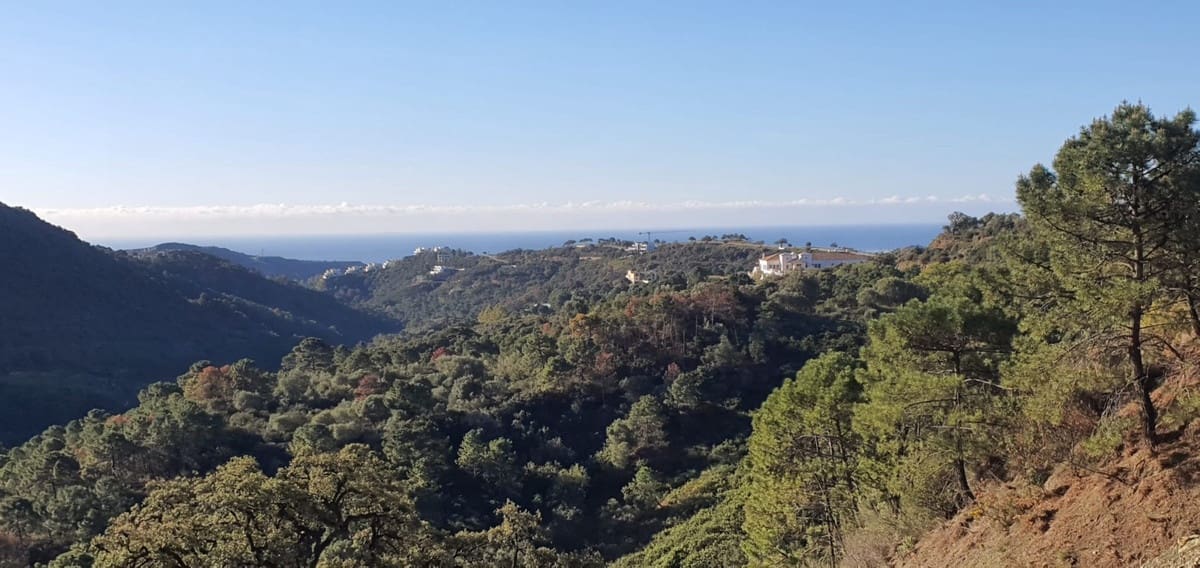 5 quarto Moradia para venda em Benahavis com piscina garagem - 3 695 000 € (Ref: 10046556)
