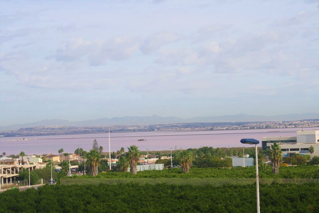 3 sovrum Hus till salu i Torrevieja med garage - 355 000 € (Ref: 10050700)