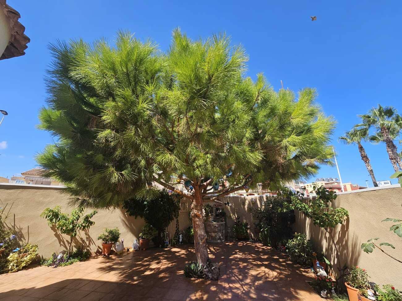 3 makuuhuone Huvila myytävänä paikassa Torrevieja mukana 
autotalli - 495 000 € (Ref: 10050751)
