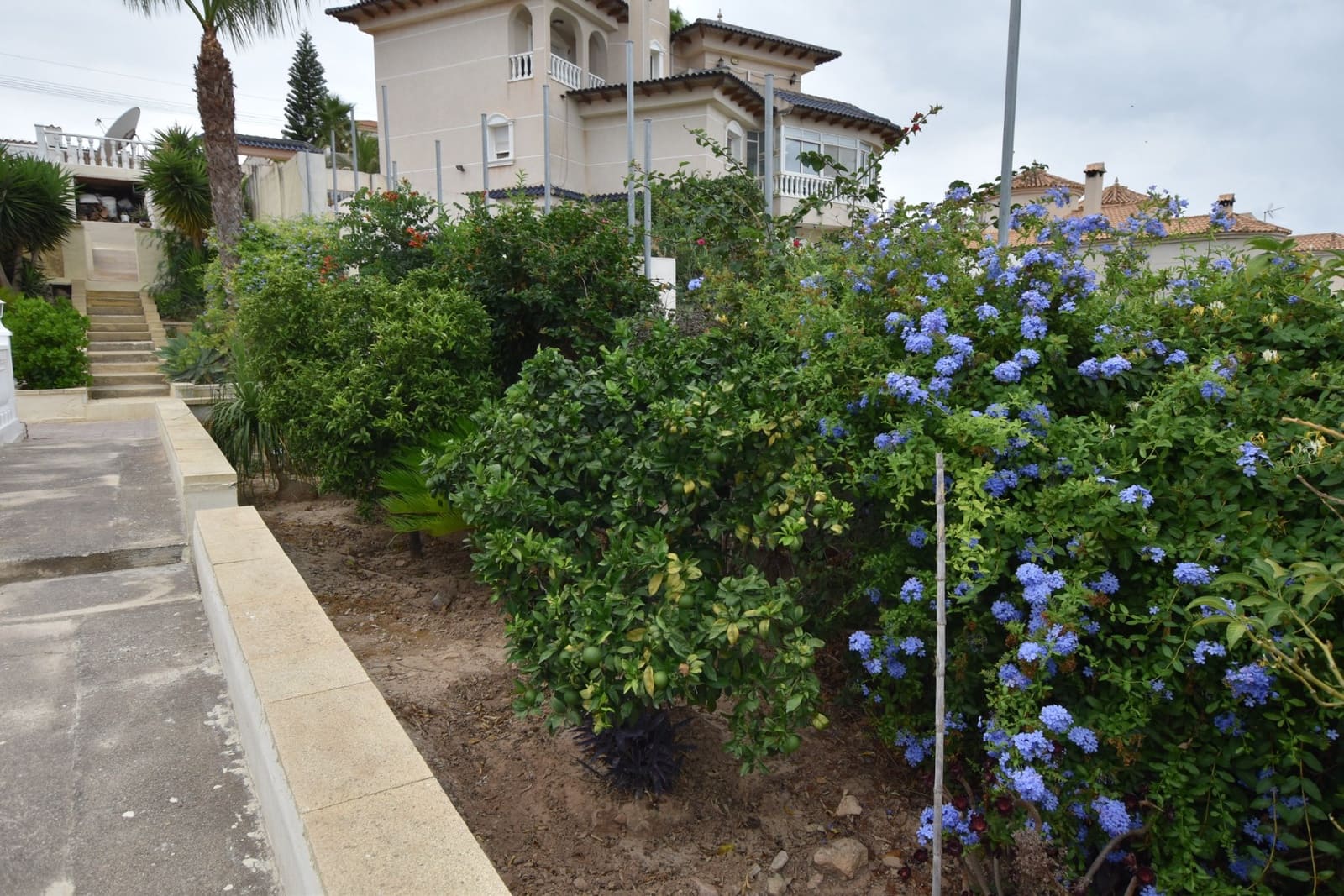3 chambre Villa/Maison à vendre à Algorfa - 599 990 € (Ref: 10050779)