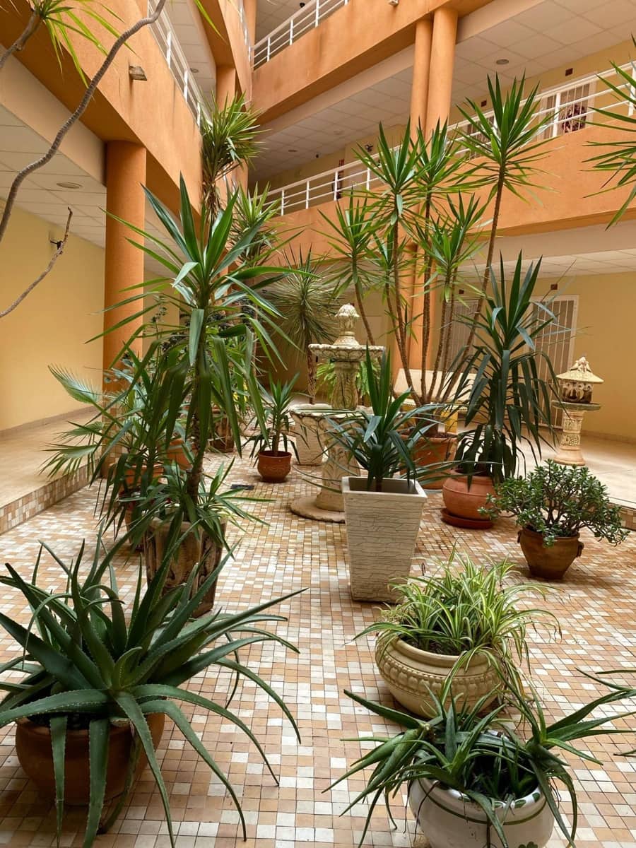 2 chambre Appartement à vendre à San Miguel de Salinas avec piscine - 198 000 € (Ref: 10050818)