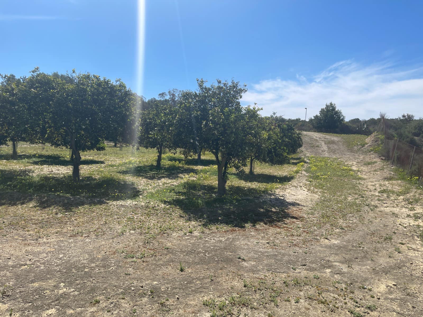 3 sovrum Finca/Hus på landet till salu i Guardamar del Segura med pool - 460 000 € (Ref: 10051184)