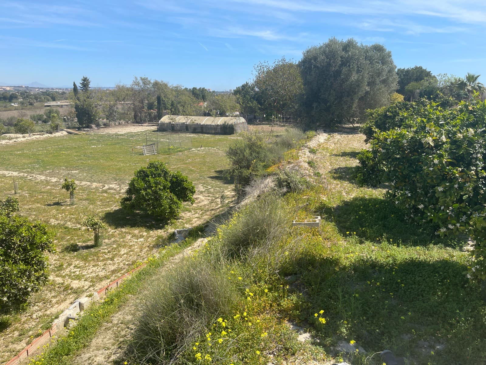 3 sovrum Finca/Hus på landet till salu i Guardamar del Segura med pool - 460 000 € (Ref: 10051184)
