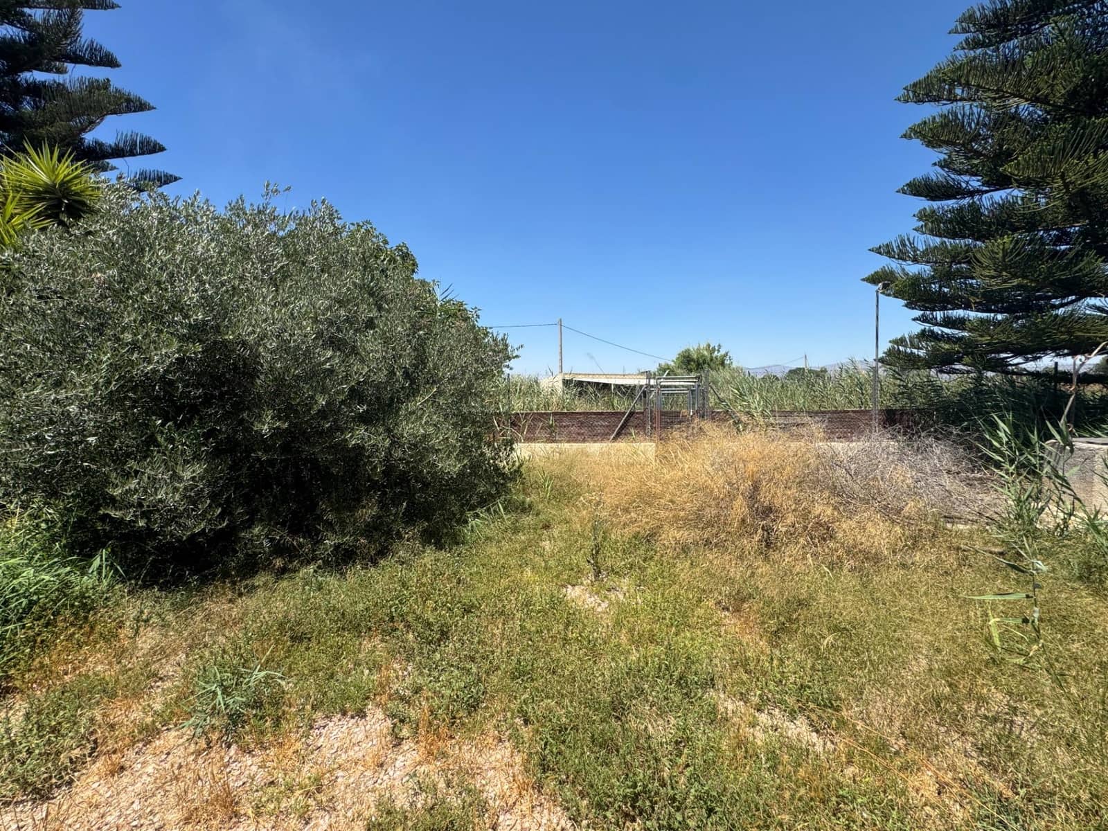 5 camera da letto Finca/Casa di Campagna in vendita in Dolores con piscina - 375.000 € (Rif: 10063566)