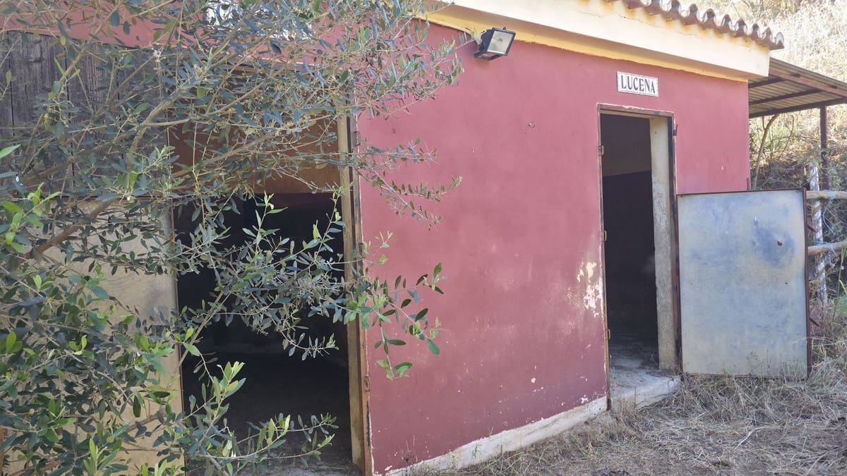 4 sypialnia Apartament na sprzedaż w Mijas Costa z garażem - 795 000 € (Ref: 10071469)