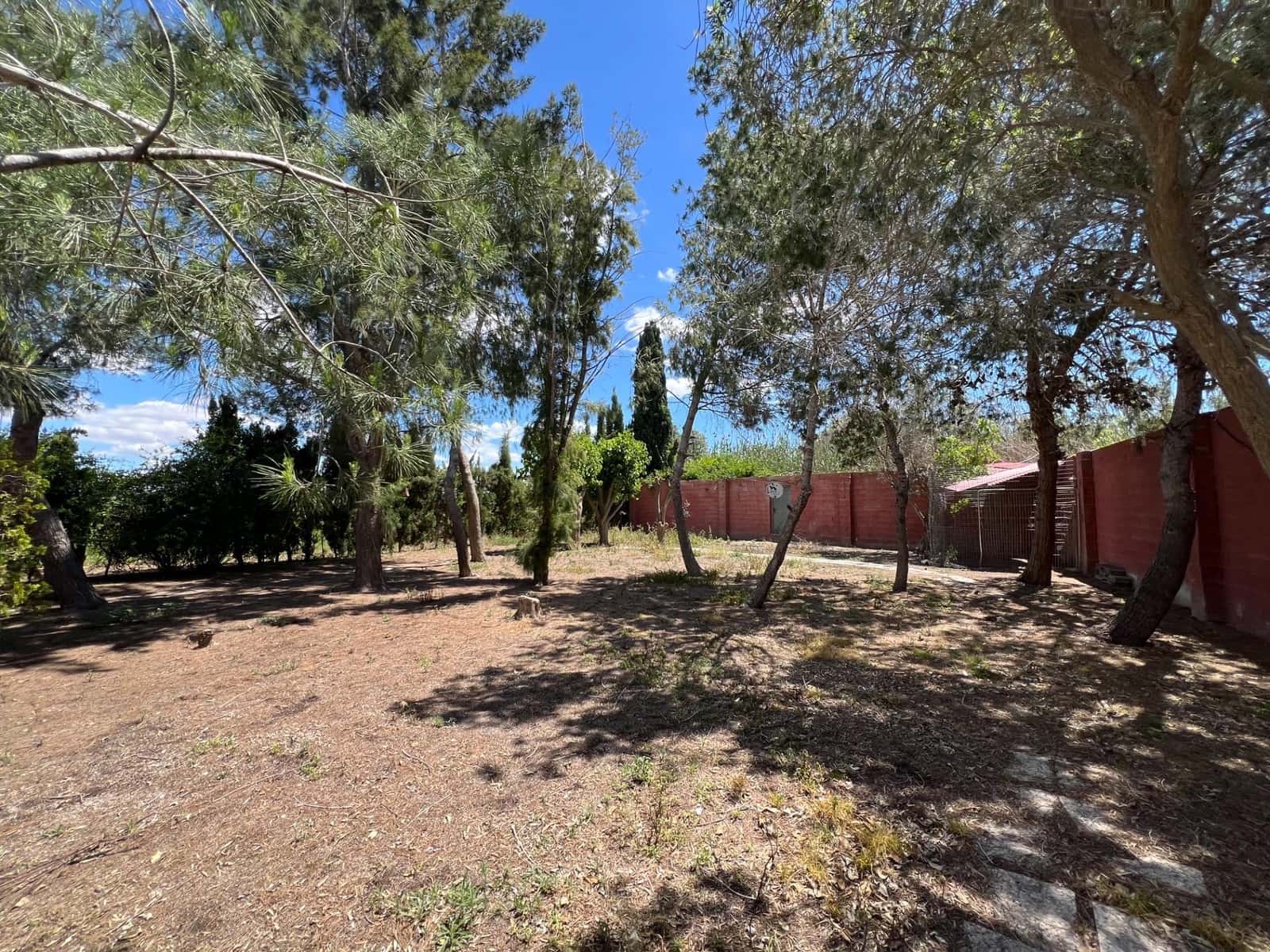 4 Zimmer Finca/Landgut zu verkaufen in Dolores mit Pool - 485.000 € (Ref: 10084074)