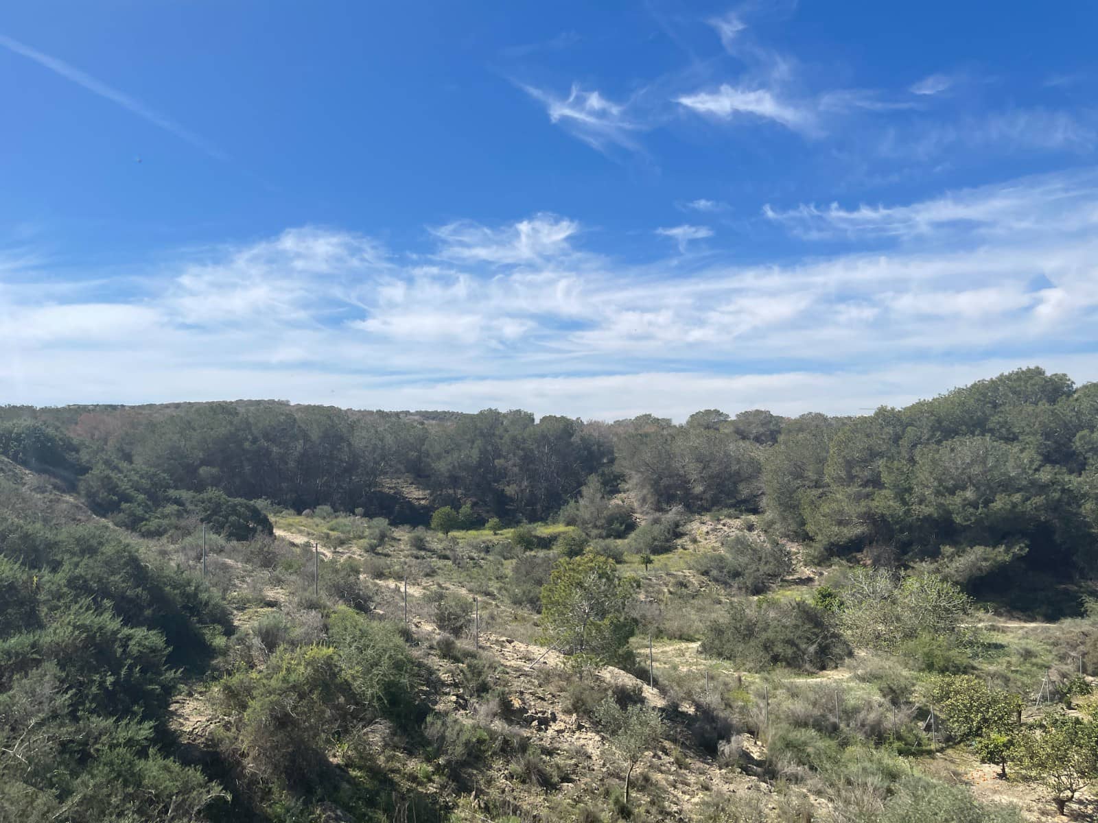3 quarto Moradia para venda em Guardamar del Segura com piscina - 460 000 € (Ref: 10084125)