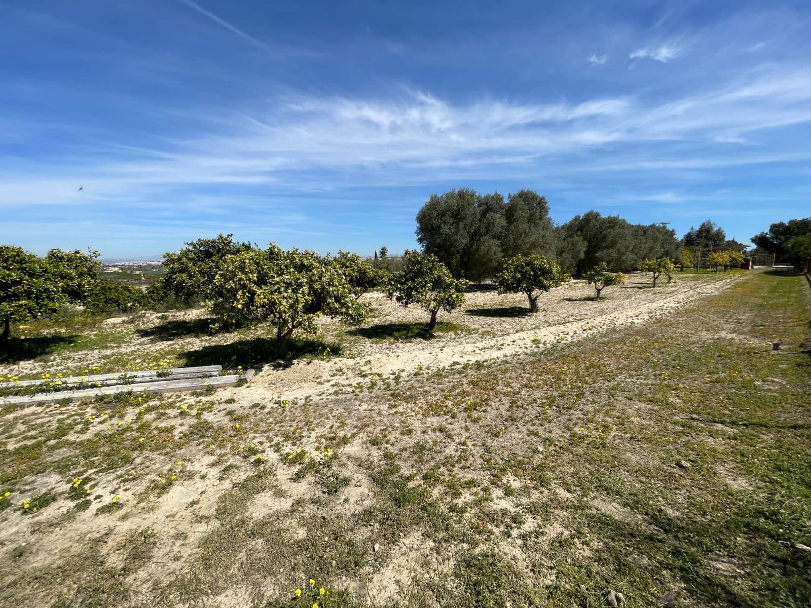 3 quarto Moradia para venda em Guardamar del Segura com piscina - 460 000 € (Ref: 10084125)