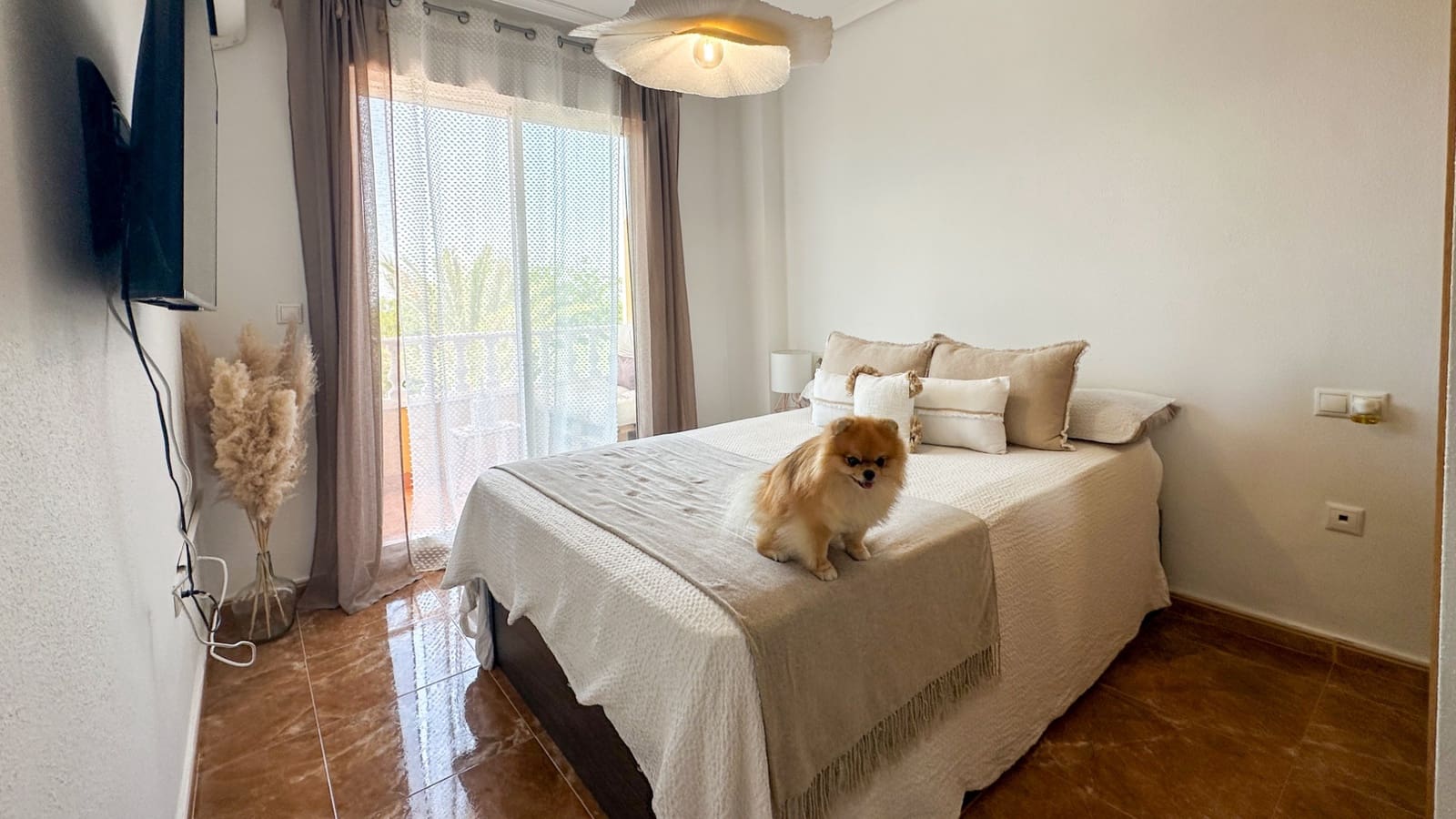 2 Zimmer Apartment zu verkaufen in Guardamar del Segura mit Pool Garage - 215.000 € (Ref: 10084250)