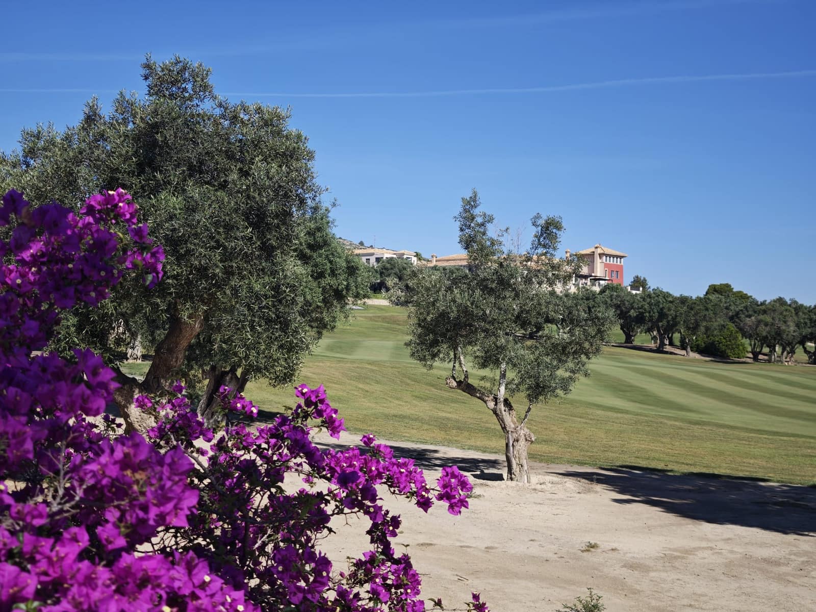 4 quarto Moradia para venda em Algorfa - 449 995 € (Ref: 10084399)