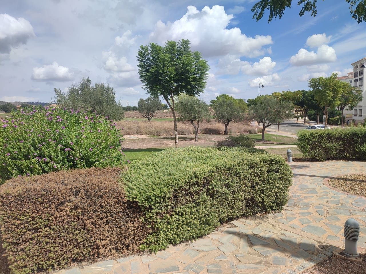 2 sypialnia Apartament na sprzedaż w Hacienda Riquelme z basenem garażem - 189 995 € (Ref: 10090481)