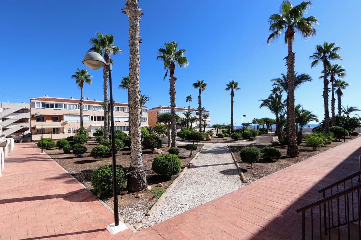 2 soverom Leilighet til salgs i Pilar de la Horadada - € 275 000 (Ref: 10119065)