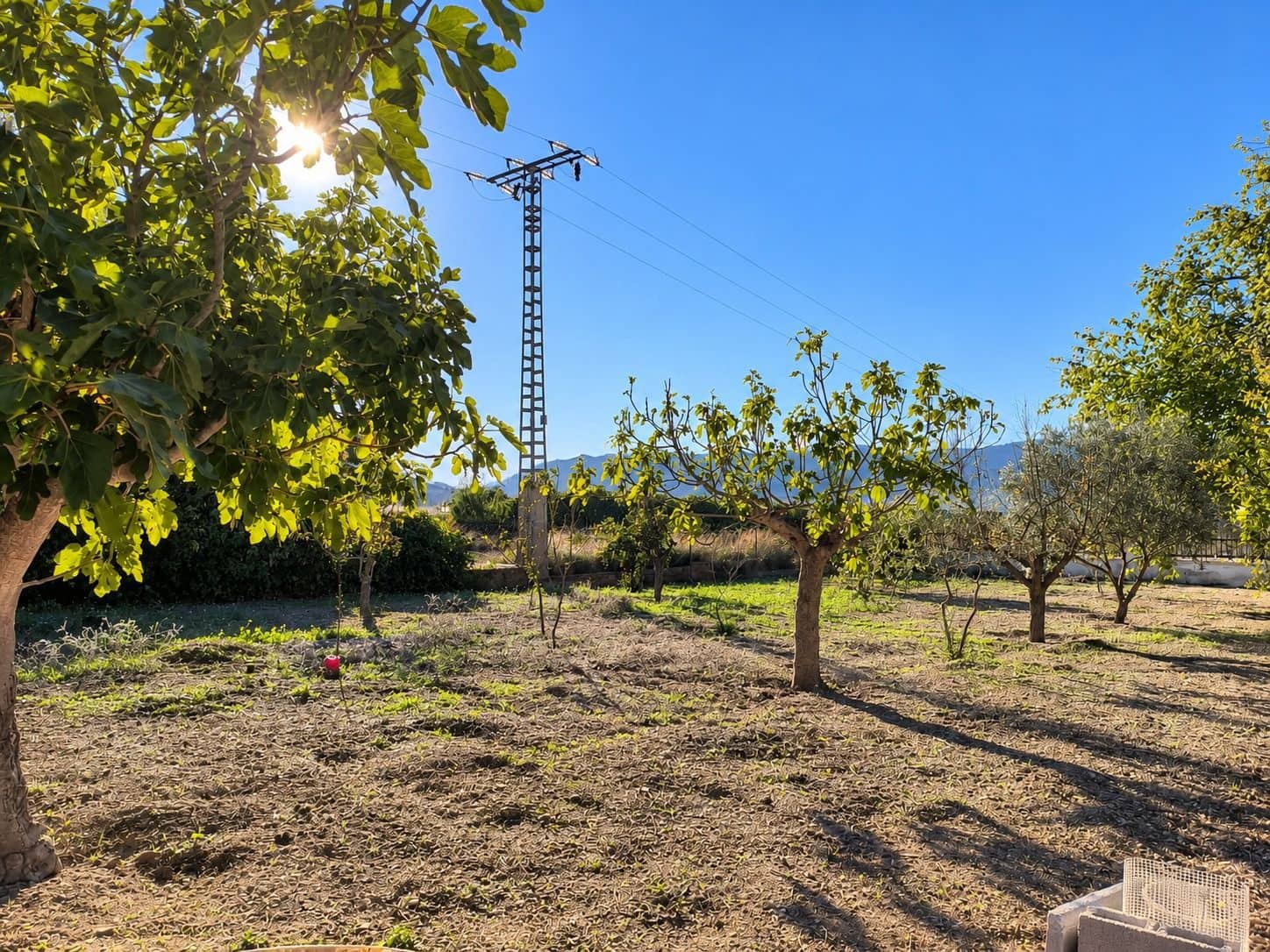 4 slaapkamer Villa te koop in Salinas met zwembad garage - € 299.000 (Ref: 10186588)