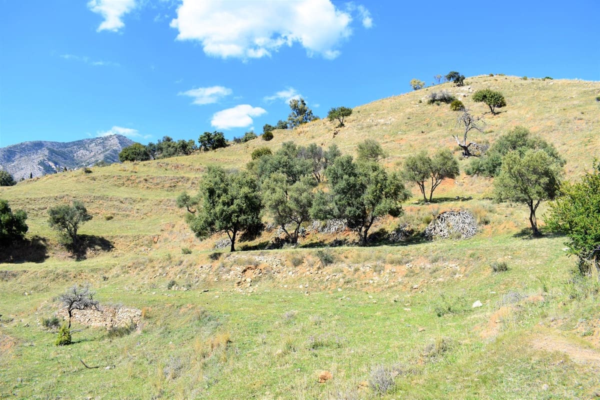 Terrain à Bâtir à vendre à Mijas - 998 000 € (Ref: 7759418)