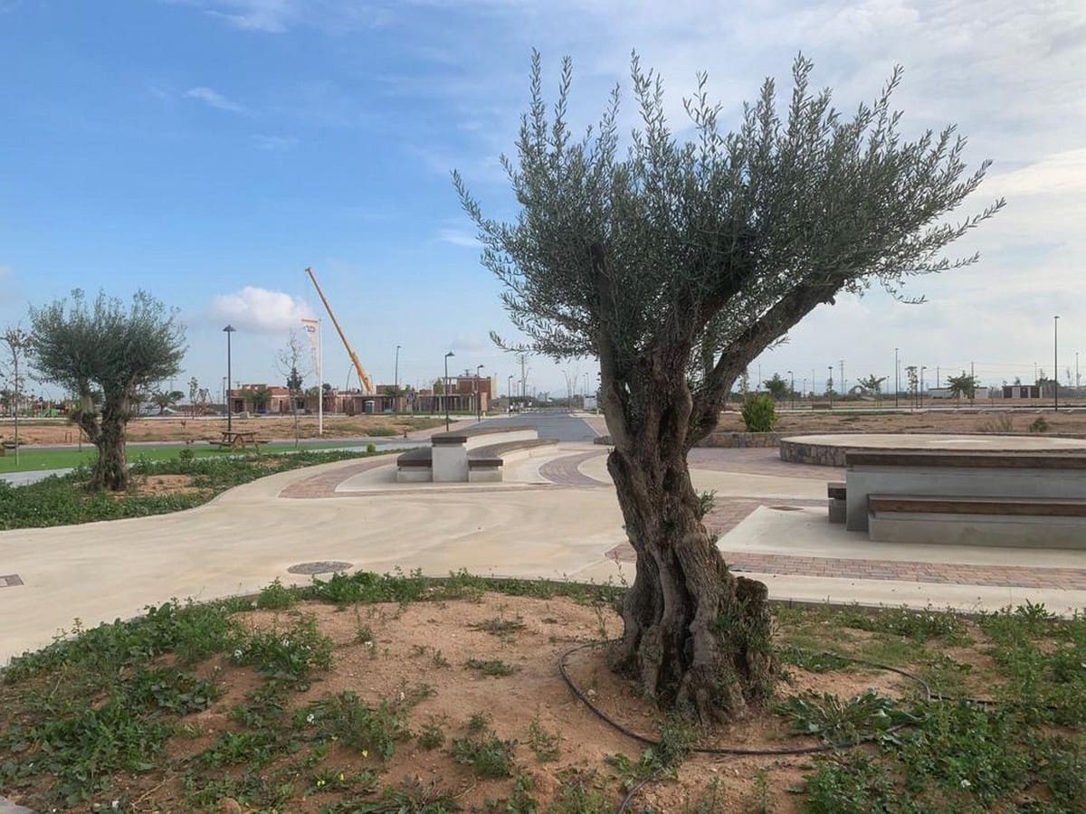 3 quarto Moradia para venda em Roldan com piscina - 392 500 € (Ref: 8505703)