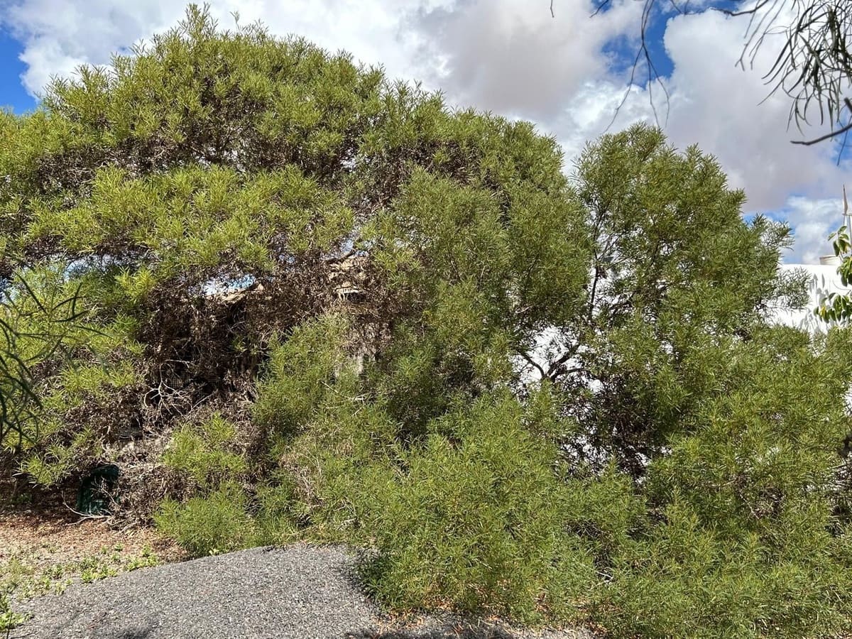 2 soverom Villa til salgs i Puerto del Rosario med garasje - € 360 000 (Ref: 8542265)