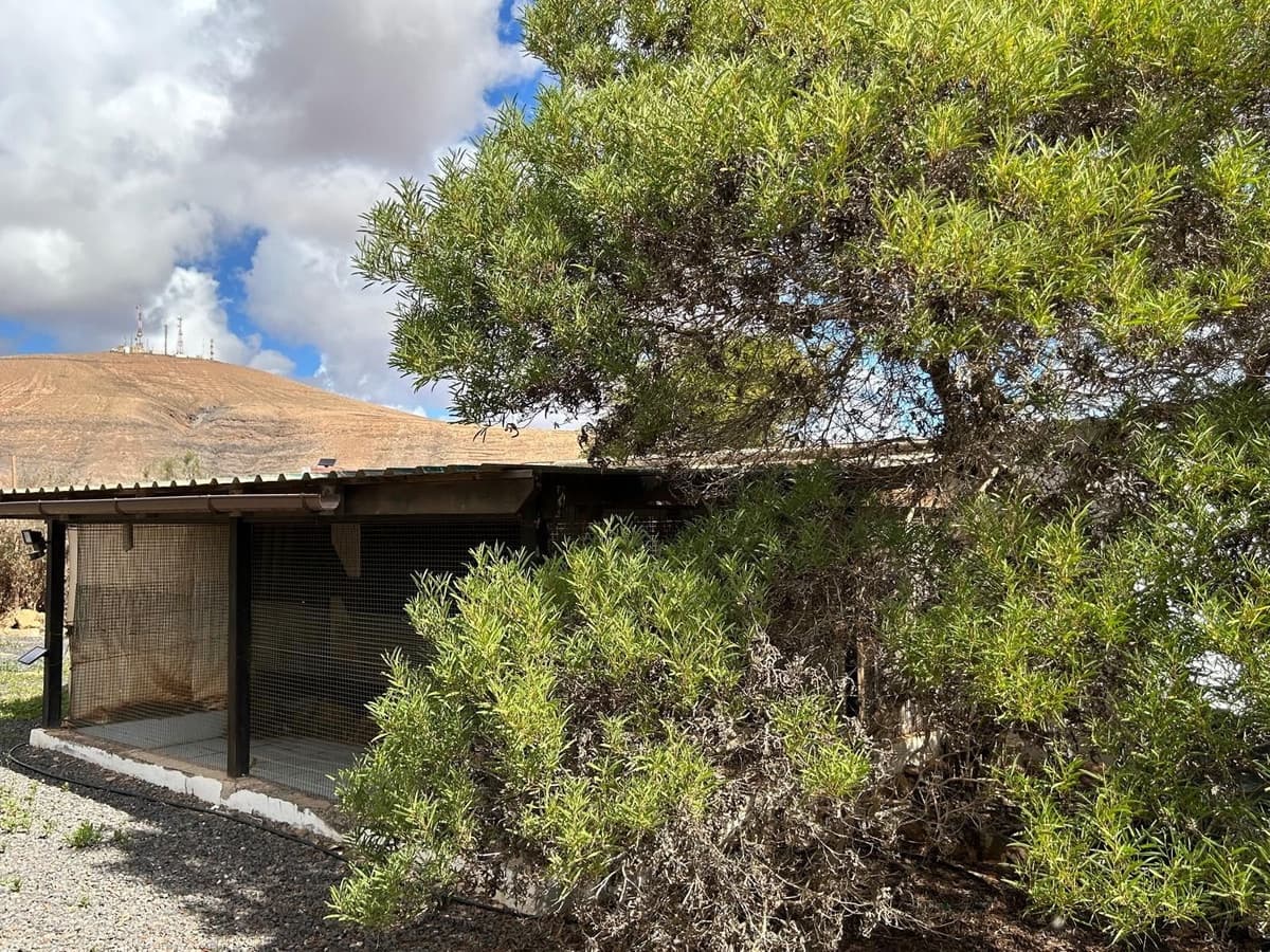 2 slaapkamer Villa te koop in Puerto del Rosario met garage - € 360.000 (Ref: 8542265)