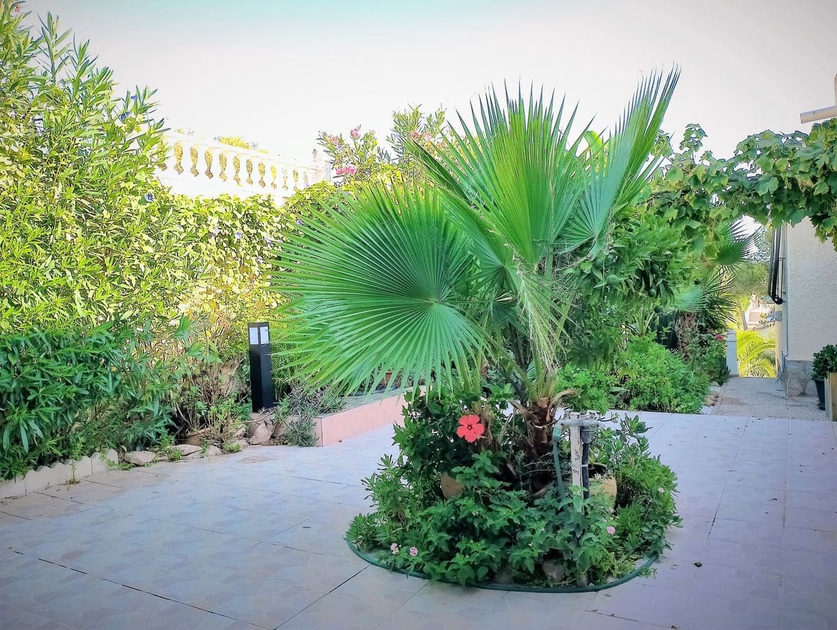 8 bedroom Apartment for sale in Los Balcones with pool garage - € 1,090,000 (Ref: 8580086)