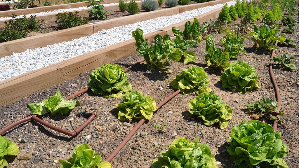 2 camera da letto Appartamento in vendita in Fuengirola con piscina - 695.000 € (Rif: 8682167)