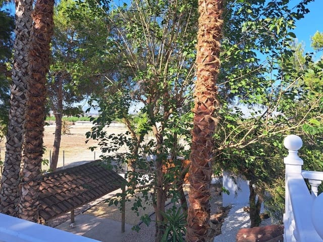 5 sypialnia Willa na sprzedaż w Orihuela ciudad, Orihuela z basenem - 370 000 € (Ref: 8872298)