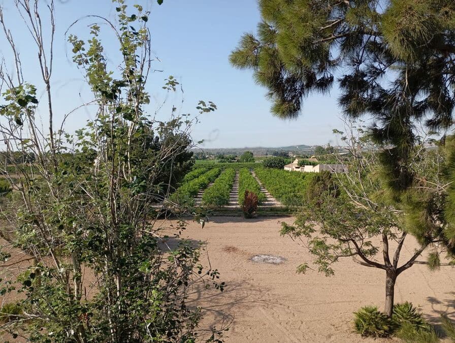 4 slaapkamer Villa te koop in Daya Nueva - € 320.000 (Ref: 8872333)