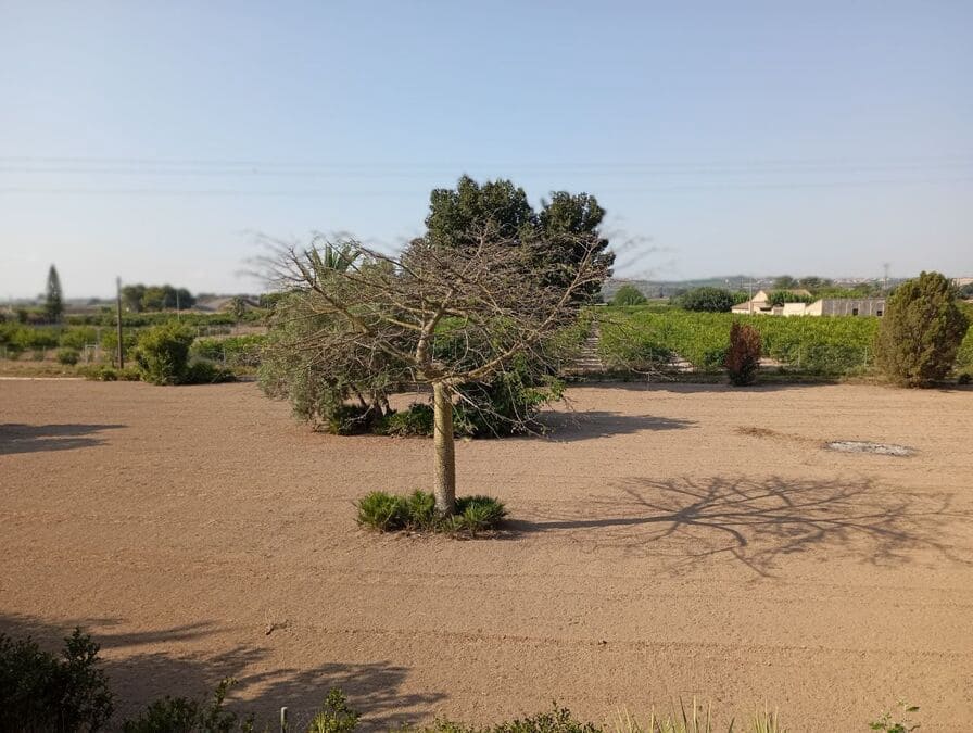 4 slaapkamer Villa te koop in Daya Nueva - € 320.000 (Ref: 8872333)