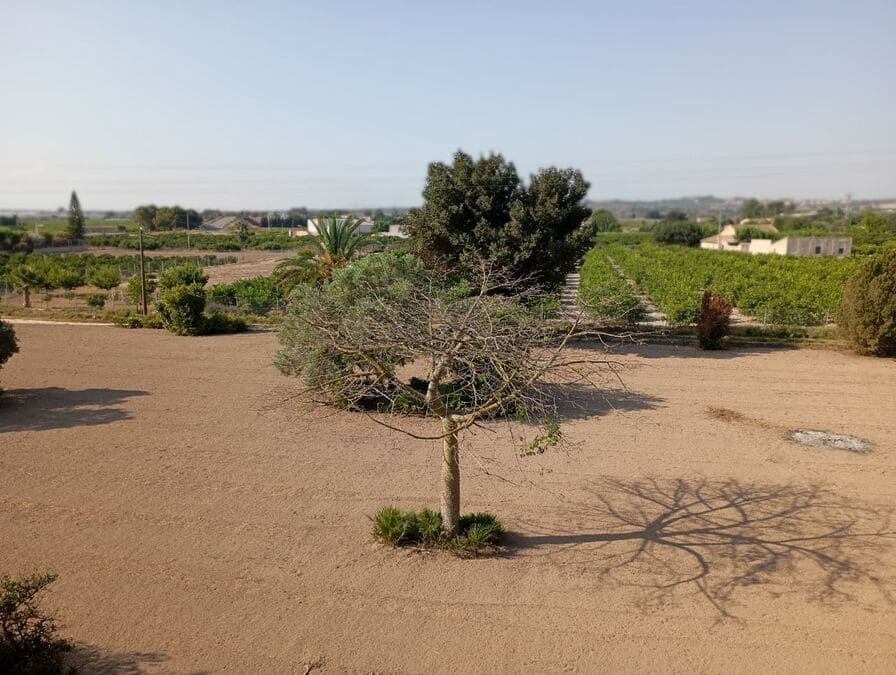 4 slaapkamer Villa te koop in Daya Nueva - € 320.000 (Ref: 8872333)