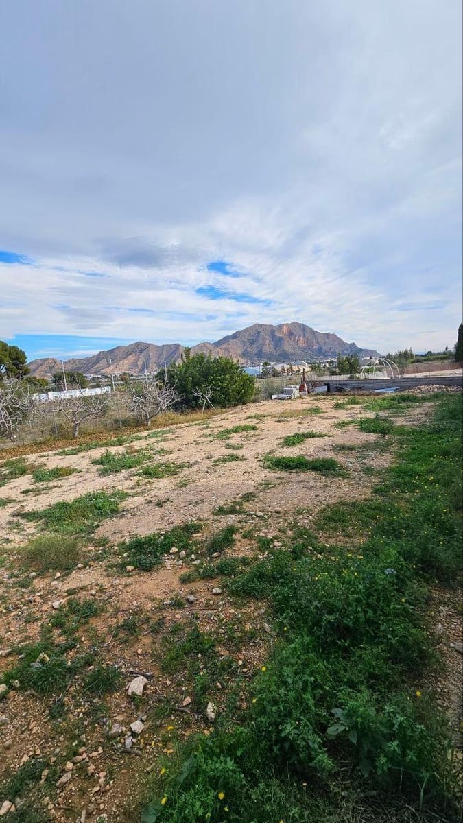 4 soveværelse Villa til salg i Orihuela med swimmingpool - € 449.000 (Ref: 8872356)