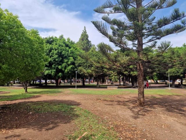 3 soveværelse Lejlighed til salg i Parque de las Naciones, Torrevieja - € 195.000 (Ref: 8872382)