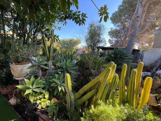 5 quarto Moradia para venda em Las Filipinas - 419 990 € (Ref: 8872594)