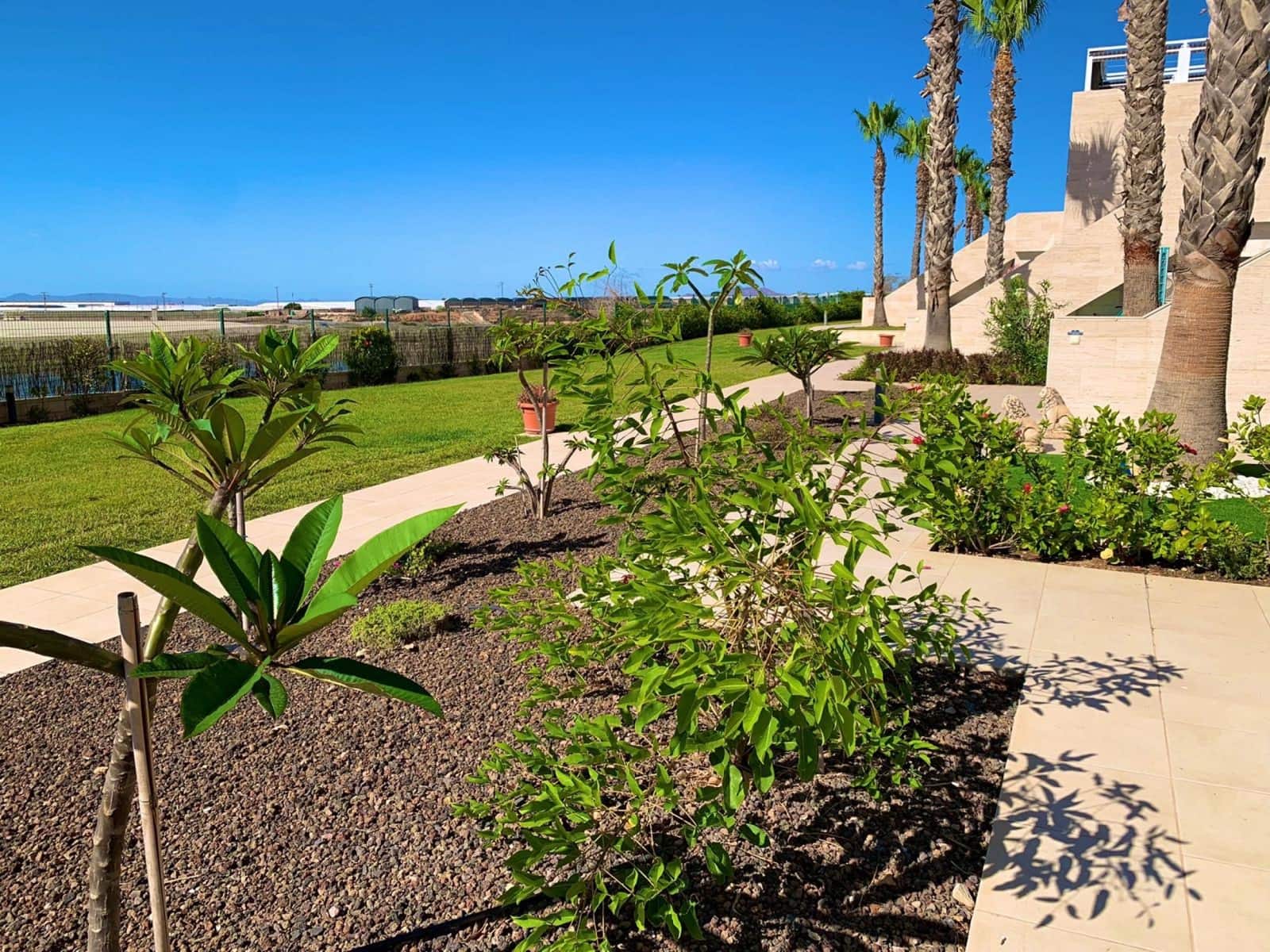 2 bedroom Penthouse for sale in Pilar de la Horadada with pool garage - € 239,950 (Ref: 8872635)