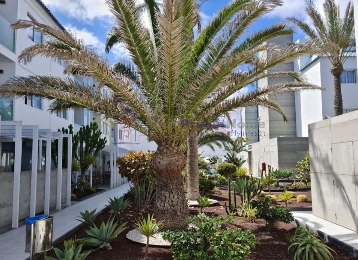 1 quarto Apartamento para venda em Corralejo com piscina - 260 000 € (Ref: 8930391)
