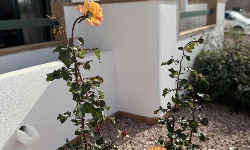 2 makuuhuone Huoneisto myytävänä paikassa Orihuela Costa mukana uima-altaan - 212 350 € (Ref: 8954588)