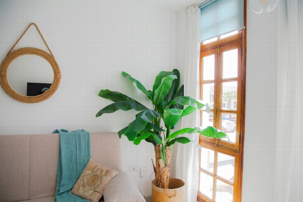 1 Zimmer Apartment zu verkaufen in Corralejo - 170.000 € (Ref: 8979141)