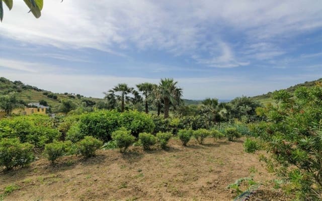4 camera da letto Commerciale in vendita in Zona Calvario, Estepona con piscina - 795.000 € (Rif: 8979179)