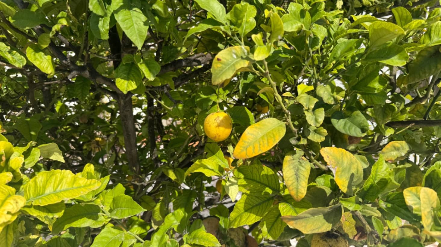 3 camera da letto Casa in vendita in Torrevieja con garage - 399.000 € (Rif: 9018300)