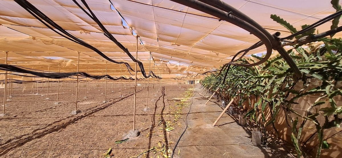 3 soveværelse Finca/Landehus til salg i Tuineje med garage - € 330.000 (Ref: 9149262)