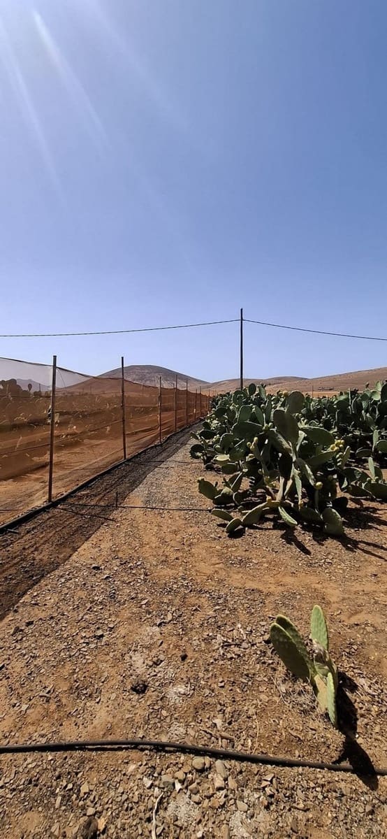 3 sypialnia Finka/Dom wiejski na sprzedaż w Tuineje z garażem - 330 000 € (Ref: 9149262)