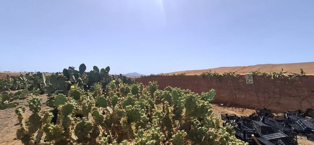 3 sypialnia Finka/Dom wiejski na sprzedaż w Tuineje z garażem - 330 000 € (Ref: 9149262)